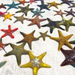 Starfish Adventure, Lunch at The Rock, Mnemba Dolphin Tour - Starfish Beach: A Quiet Corner of Zanzibar
