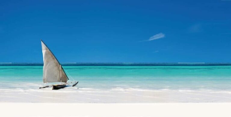 Starfish Adventure, Lunch at The Rock, Mnemba Snorkeling - A Detailed Look at the Tour Experience