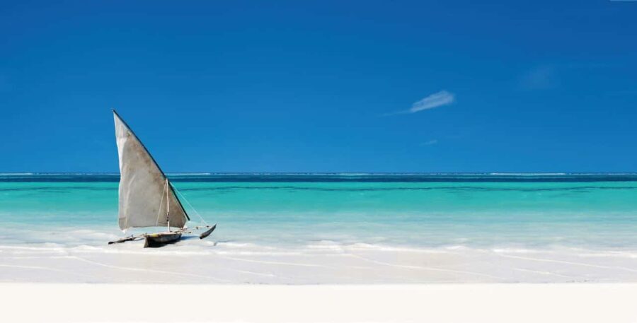 Starfish Adventure, Lunch at The Rock, Mnemba Snorkeling - A Detailed Look at the Tour Experience