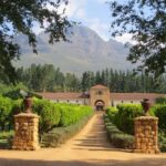 Stellenbosch: All-inclusive Private Wine Tour & Tastings - Who Should Consider This Tour?