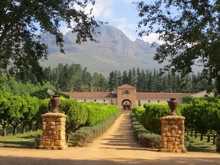 Stellenbosch: All-inclusive Private Wine Tour & Tastings - Who Should Consider This Tour?