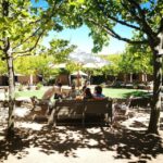 Stellenbosch: Best of the Winelands Private Tour & Tastings - The Private Guide and Customization