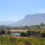 Stellenbosch: Countryside Banhoek valley E-Bike Wine Tour - Authentic Experiences and Insider Tips