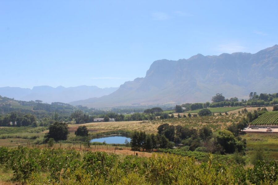Stellenbosch: Countryside Banhoek valley E-Bike Wine Tour - Authentic Experiences and Insider Tips