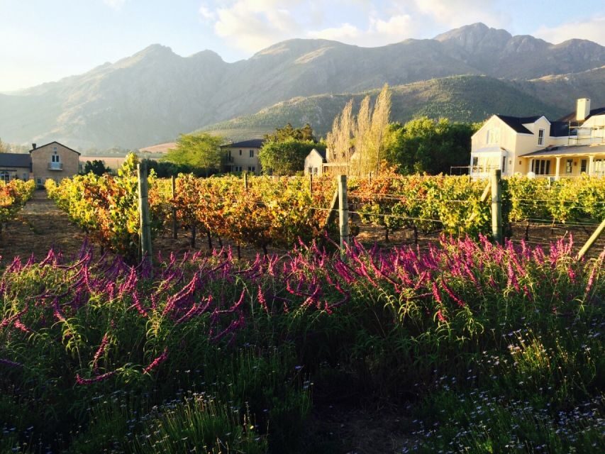 Stellenbosch: Devon Valley Vineyards Bicycle Tour w. Lunch - An In-Depth Look at the Tour Itinerary