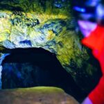 Stellenbosch: Dwarsrivier Silver Mine Hike - Who Should Consider This Hike?