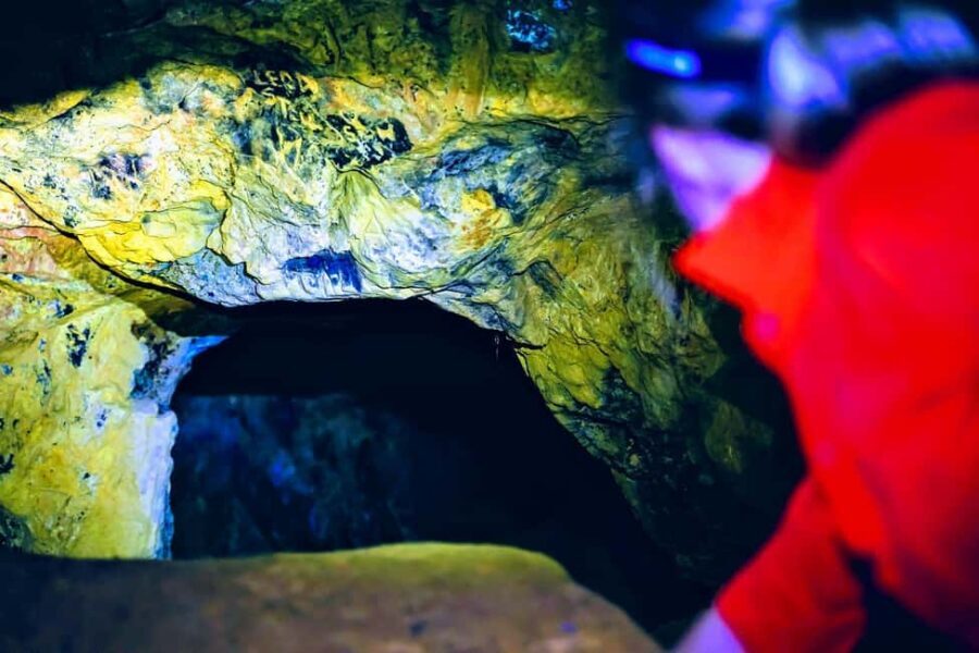 Stellenbosch: Dwarsrivier Silver Mine Hike - Who Should Consider This Hike?