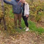 Stellenbosch, Franshoek ,Paarl Region (20 wine tastings) - What to Expect and Practical Tips