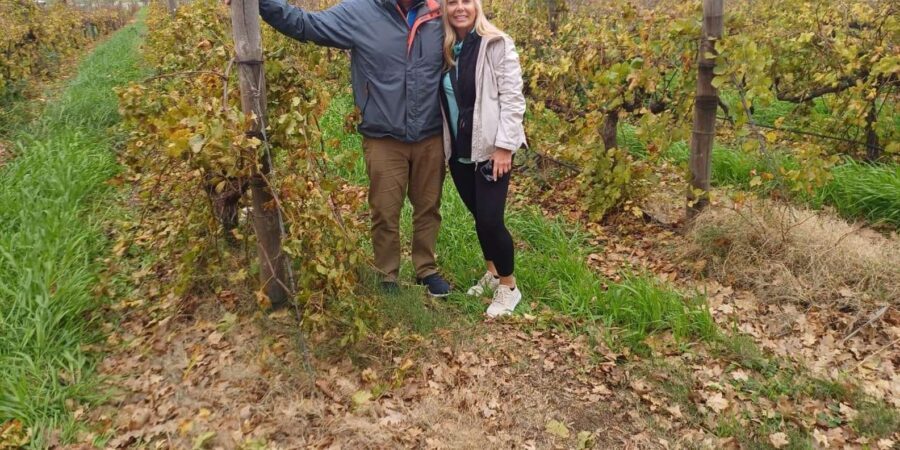 Stellenbosch, Franshoek ,Paarl Region (20 wine tastings) - What to Expect and Practical Tips