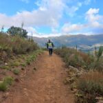 Stellenbosch: Half-Day Guided Nature Hike and Wine Tasting - Who Should Consider This Tour?