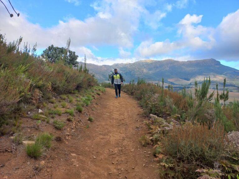 Stellenbosch: Half-Day Guided Nature Hike and Wine Tasting - Who Should Consider This Tour?