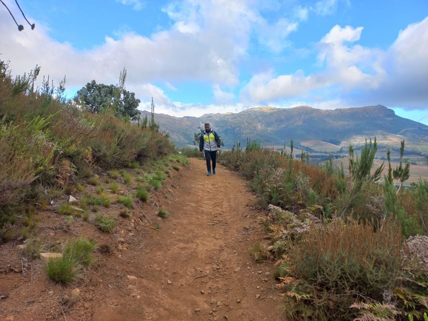 Stellenbosch: Half-Day Guided Nature Hike and Wine Tasting - Who Should Consider This Tour?