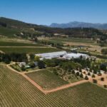 Stellenbosch: Half-Day Wine Tour - The Itinerary Explained