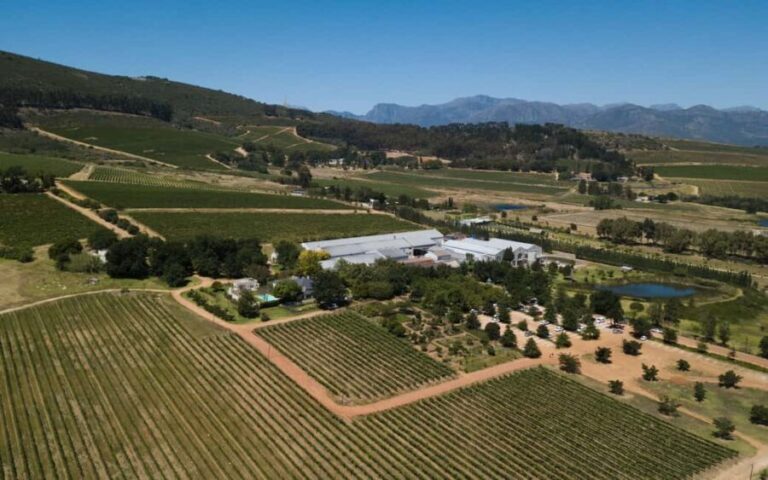 Stellenbosch: Half-Day Wine Tour - The Itinerary Explained