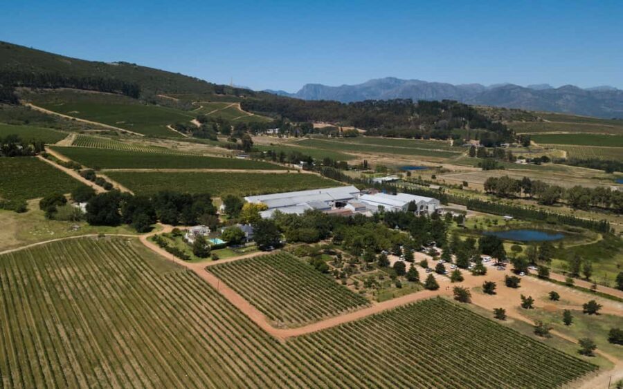 Stellenbosch: Half-Day Wine Tour - The Itinerary Explained