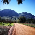 Stellenbosch: Stellenbosch E-Bike & Wine Tour (Shared Tour) - The Itinerary: What to Expect