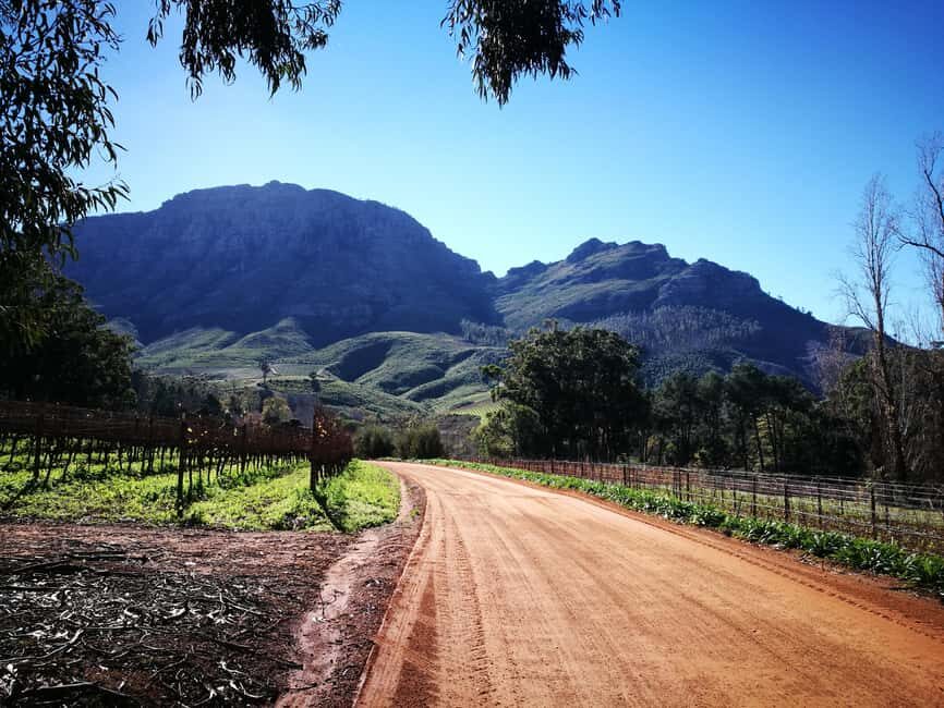 Stellenbosch: Stellenbosch E-Bike & Wine Tour (Shared Tour) - The Itinerary: What to Expect