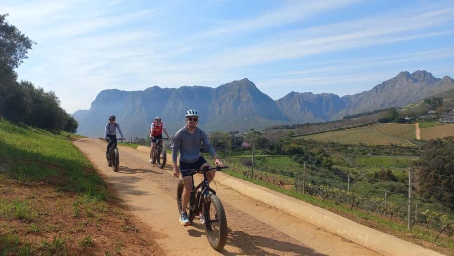 Stellenbosch: Stellenbosch Private E-Bike & Wine Tour - What’s Included and What to Bring