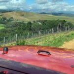 Stellenbosch: Wine Tour - Award Winning Jeep Tours Cape Town - Exploring the Itinerary: What You Can Expect from the Tour