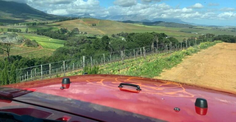 Stellenbosch: Wine Tour - Award Winning Jeep Tours Cape Town - Exploring the Itinerary: What You Can Expect from the Tour
