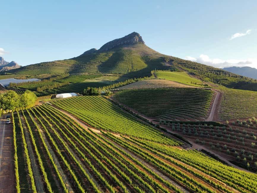 Stellenbosch: Wineries and Safari Tour with Wine Tasting - Who Will Love This Tour?
