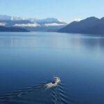 Stevensons Island 2-Hour Cruise and Nature Walk - An In-Depth Look at the Experience