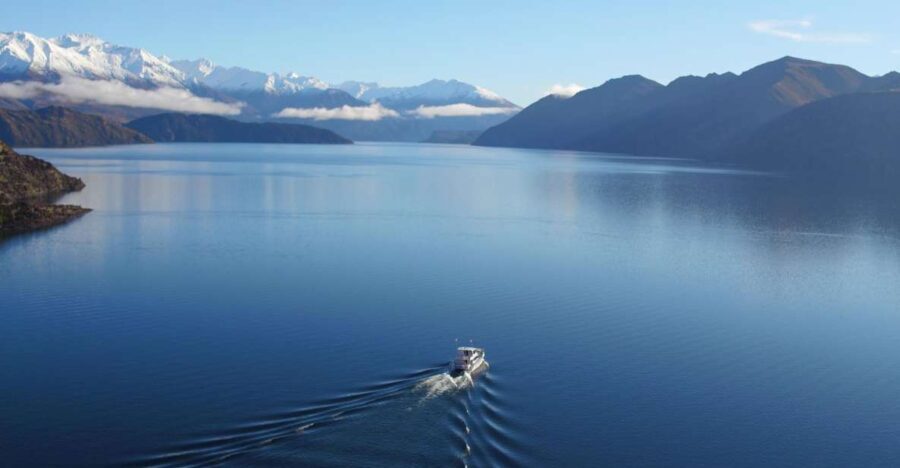 Stevensons Island 2-Hour Cruise and Nature Walk - An In-Depth Look at the Experience