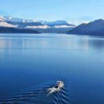 Stevensons Island Cruise and Nature Walk from Wanaka - Authentic Insights from Real Travelers