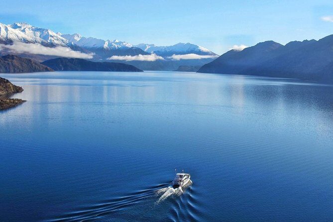 Stevensons Island Cruise and Nature Walk from Wanaka - Authentic Insights from Real Travelers