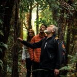 Stewart Island Guided Wilderness Walk - Final Thoughts: Is It Worth It?
