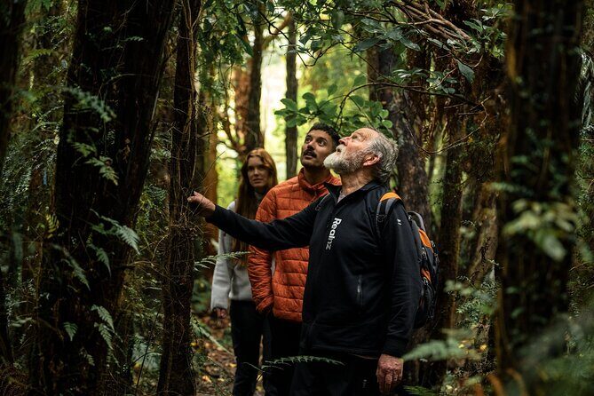 Stewart Island Guided Wilderness Walk - Final Thoughts: Is It Worth It?