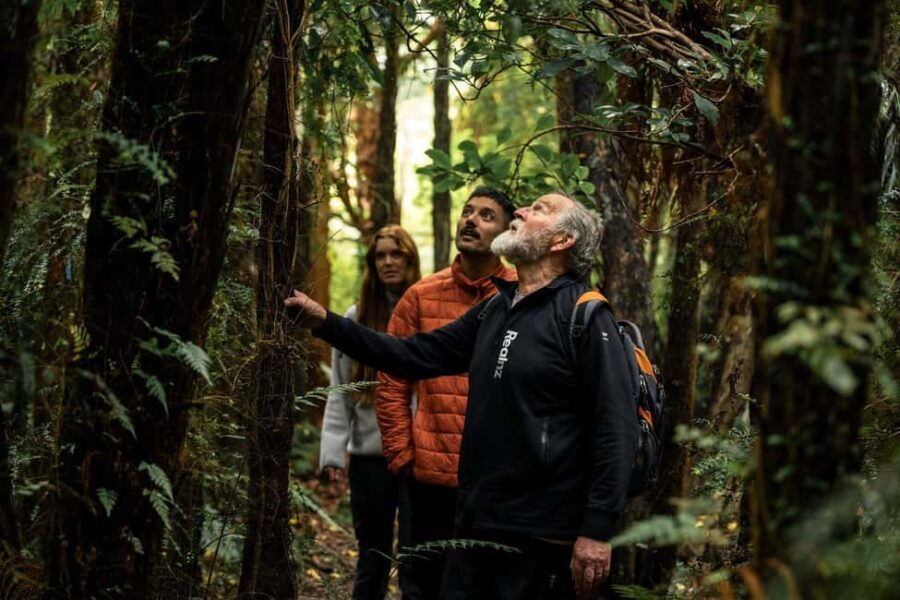Stewart Island: Guided Wilderness Walk - An Overview of the Itinerary and What Makes the Experience Special