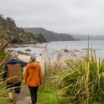 Stewart Island: Village and Bays Tour - Why This Tour Offers Great Value