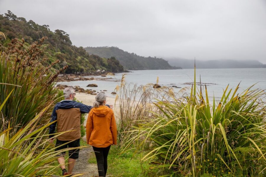 Stewart Island: Village and Bays Tour - Why This Tour Offers Great Value