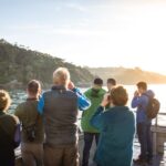 Stewart Island: Wild Kiwi Experiences - The Wildlife Encounters: What You Can Expect