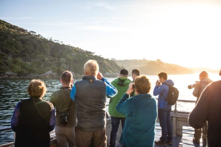 Stewart Island: Wild Kiwi Experiences - The Wildlife Encounters: What You Can Expect