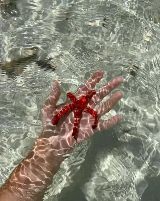 Stone Town, Blue Lagoon, Starfish & Spice Farm with Lunch - A Detailed Breakdown of the Itinerary