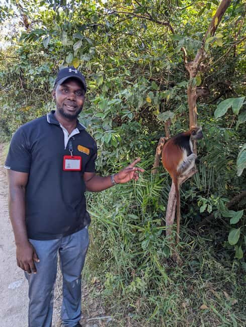Stone Town: Jozani Chwaka Bay National Park Half-Day Tour - Final Thoughts