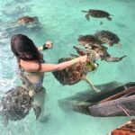 Stone Town, Jozani Forest, Sea Turtles & The Rock Restaurant - What Makes This Tour Stand Out?