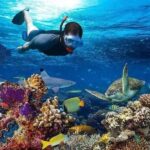 Stone town: Nakupenda Sandbank beach with Snorkeling trip - The Value of the Experience