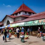 Stone Town: Private Guided Half-Day Walking Tour - What the Reviews Say