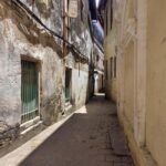 Stone town walking tour ( City tour) - Authenticity and Value