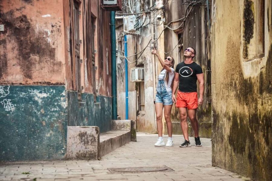 Stone town,jozani Forest and the rock restaurant - Walking Through the Forest: What You Can Expect