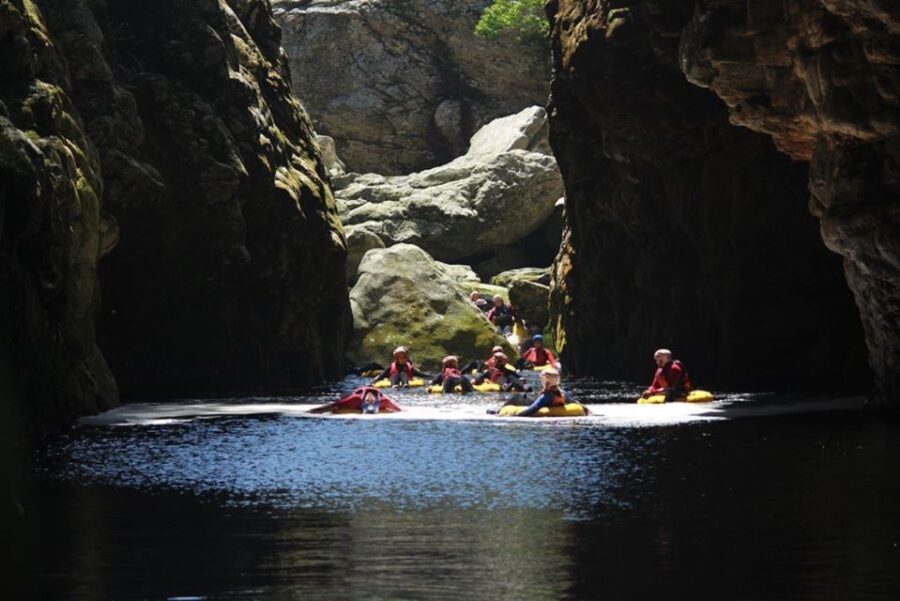 Storms River: Tsitsikamma National Park Blackwater Tubing - Practical Details and What to Know