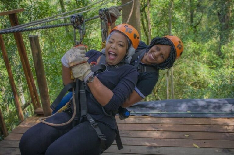 Storms River: Tsitsikamma National Park Zipline Canopy Tour - The Real Deal — What Travelers Are Saying