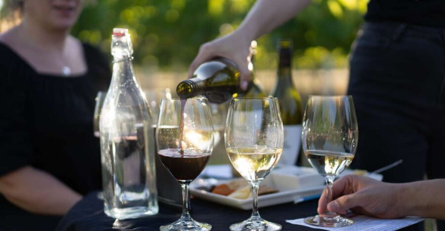 Strange Bird Flight of 3 Wine & Cheese - The Experience in Detail