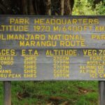 Summit Adventure: Mount Kilimanjaro Daytrip - What Makes This Tour Stand Out