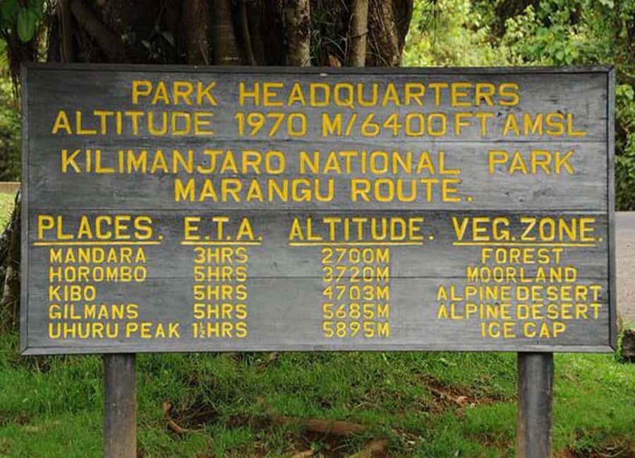 Summit Adventure: Mount Kilimanjaro Daytrip - What Makes This Tour Stand Out