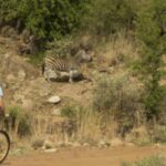 Sun City: Letsatsing Game Park Mountain Bike Trail - What’s Included and What to Bring