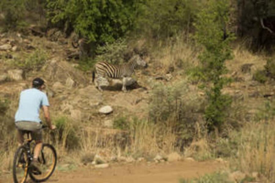 Sun City: Letsatsing Game Park Mountain Bike Trail - What’s Included and What to Bring